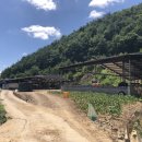 청송목장 이미지