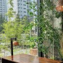 선기농장 | [구미] 금오당 : 대형 베이커리 예쁜 카페