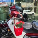 유로모터스(EURO MOTORS) | 5월 가정의 달 선물은 '시티베스트' 로 효도하세요~