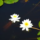 삼락생태공원 이미지