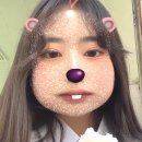 K.파마세상 이미지