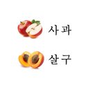 바른정한의원 이미지