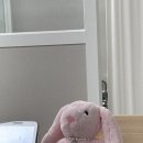 세븐일레븐 천안성정점 | 속눈썹펌 잘하는 곳 내돈내산 🎀💅🏻