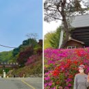 축령산 코지인 이미지