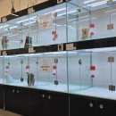 미유펫 강아지분양 고양이분양 전주점 이미지