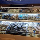 조개상사 이미지