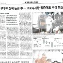 피노키오무역