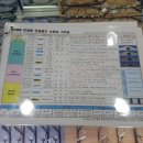 중앙대 안경원 | 중앙대 안경 상도역 1001 검안을 잘하는 안경원 울프강프록쉐 BYWP 커플안경렌즈 맞춤후기