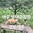 소백로1 | 경북 영주 아이와 가볼만한 체험 여우 생태관찰원 현장접수 방문후기