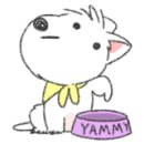 디스크독 연구소 이미지