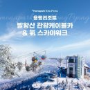 26년 2차 정기산행/ 발왕산(1월 16일 금요일 8시) 이미지