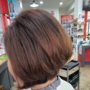 성모여성병원앞 이미지