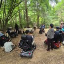 인천뇌병변장애인인권협회 이미지