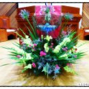 6월23일 네째주일 속초 조양중앙교회 성전꽃꽃이 이미지