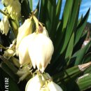 등대와올레길 이미지