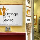 오렌지트리(Orange tree) | 세비야 여행 기념품 쇼핑 가볼만한곳 오렌지트리 Orange Tree Sevilla