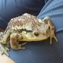 도림사오토캠핑리조트 이미지