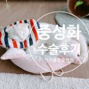 한수풀동물병원 이미지