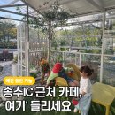 카페새로이 - 양주시 호국로 576-19 | 송추 애견 동반 가능한 카페 새로이, 이번 여름 첫 빙수 후기