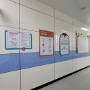 삼호중앙초등학교 이미지