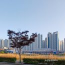 꿈동산몬테소리어린이집 이미지
