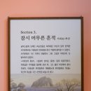 대향 이미지