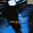 (블루스) 앨범[Blues Fallin' Down Like Rain] Kenny Neal - Shadow On The Moon 이미지