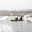 생생새우 이미지