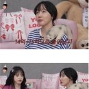 서유리와 낸시랭의 빚상황 이미지