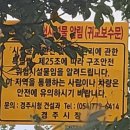 오릉초 이미지