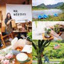 평창 운교리 밤나무 | 평창 가볼만한곳1박2일 힐링여행코스 목공체험 슬로우보트 평창마을 팸투어후기