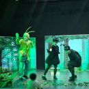 음감아트 이미지