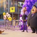 씨티퍼피 이미지