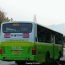 사림동221 이미지