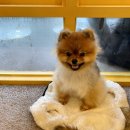 망원 휴개소 이미지