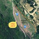 고릴라부동산공인중개사사무소 이미지