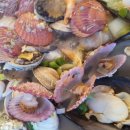 택이네조개전골 원미심곡점 이미지