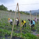 북면사무소 이미지