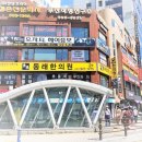 모자티헤어증모