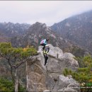 남호소공원 | ▣【2013.10.20】38-3 내설악 단풍은 한폭의 그림같은 붉디 붉은 단풍들을 마등령 오름길에서