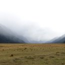 힐링 1코스 이미지