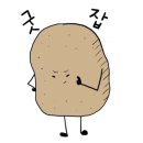 몰디브태닝 고양화정점
