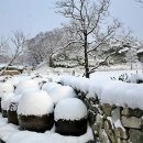고향 - 서구 | 고향