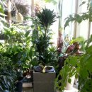 수원시 팔달구 팔달문로81번길 이미지