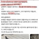 공공재인 길냥이를 입양해갔다고 화내는 캣맘 이미지