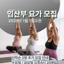 요가2 이미지
