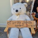 정복상회 이미지