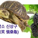 담소 이미지