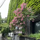 주니비노호텔 이미지