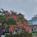 개미촌펜션 이미지